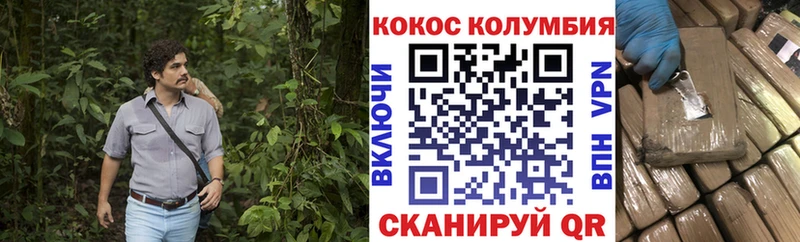 COCAIN Fish Scale  Купить закладки  Чегем 