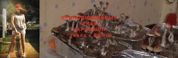 твердый Елабуга