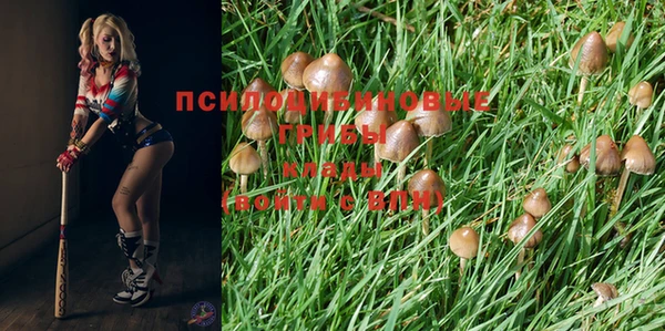 соль курить ск Ельня