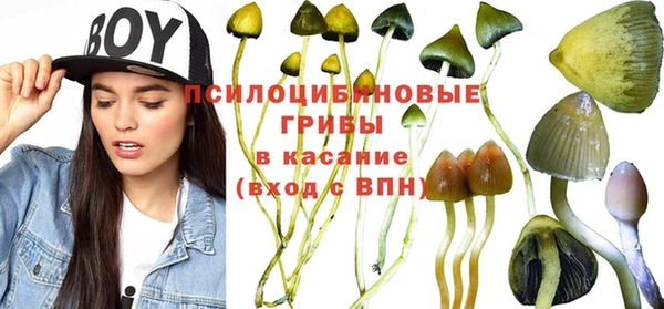 соль курить ск Ельня
