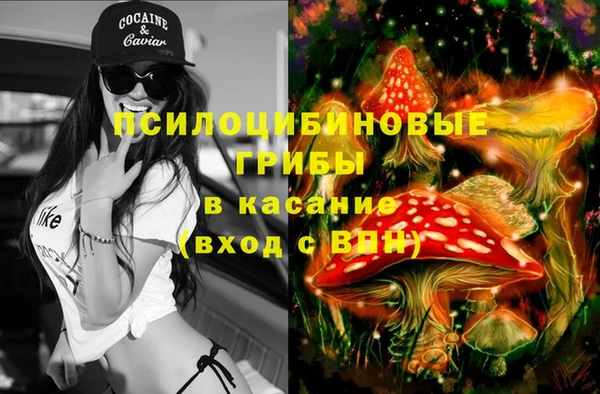 соль курить ск Ельня