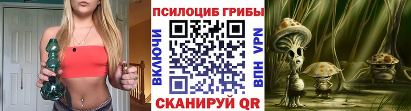 Купить где  Чегем  Галлюциногенные грибы Cubensis 